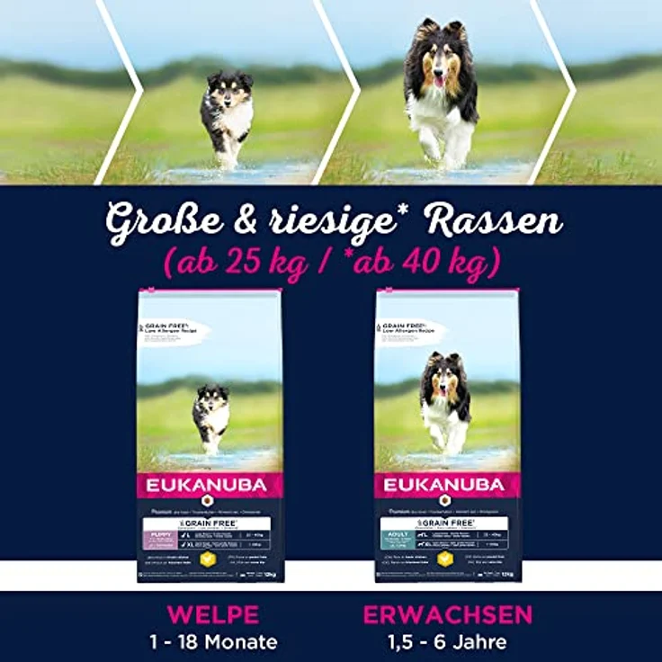 Eukanuba Welpenfutter getreidefrei mit Huhn für große Rassen, Trockenfutter ohne Getreide für Junior Hunde, 3 kg, reich an frischem Huhn, unterstützt Knochen- und Gelenkentwicklung – Bild 5