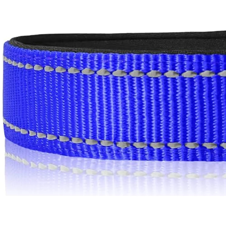 Joytale Gepolstertes Hundehalsband, Breit aus Neopren Nylon, Verstellbar für Mittelgroße Hunde, Weich und Reflektierend, M, Königsblau – Bild 4