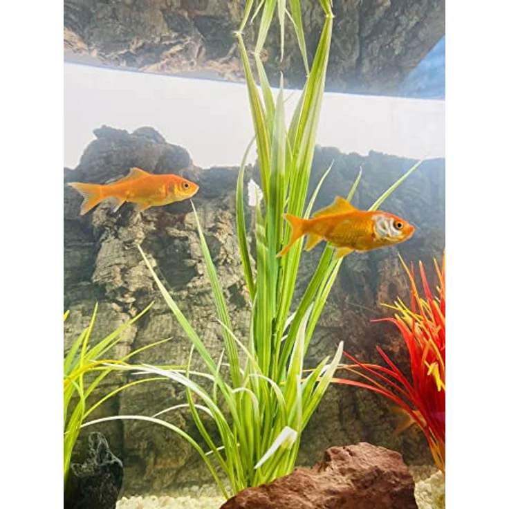 Tyrol Künstliche Wasserpflanzen, dekorative Aquarium Deko mit beschwerter Basis und UV-beständigen Farben, handgefertigt in Frankreich – Bild 2