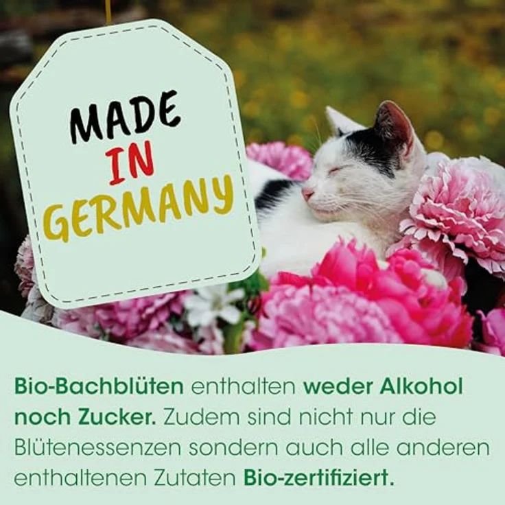 cdVet Bio-Bachblüten Quälgeist 20ml für Tiere | Natürliche Blütenessenzen ohne Alkohol, hohe Akzeptanz – Bild 4