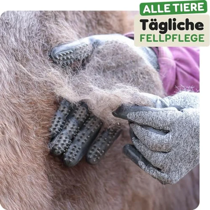 DR Zoo Fellpflegehandschuh, 1 Paar, Gr. M - Effektiver Waschhandschuh für die Fellpflege von Katzen, Hunden und Pferden mit 748 weichen Noppen – Bild 2