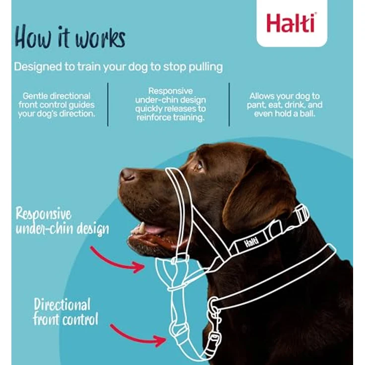 Halti Kopfgeschirr für Hunde, Größe 3, Lila, mit reflektierenden Elementen und gepolstertem Nasenriemen – Bild 2