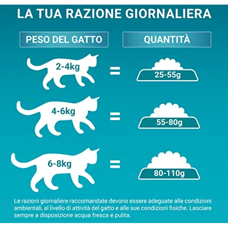 PURINA ONE Indoor Formula, Katzen-Trockenfutter mit Truthahn, 9,75 kg, fördert Verdauung und Immunsystem – Bild 5
