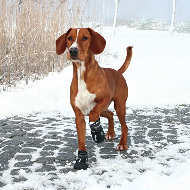 Trixie Pfotenschutz Walker Active 2 Stück schwarz XL – Bild 4