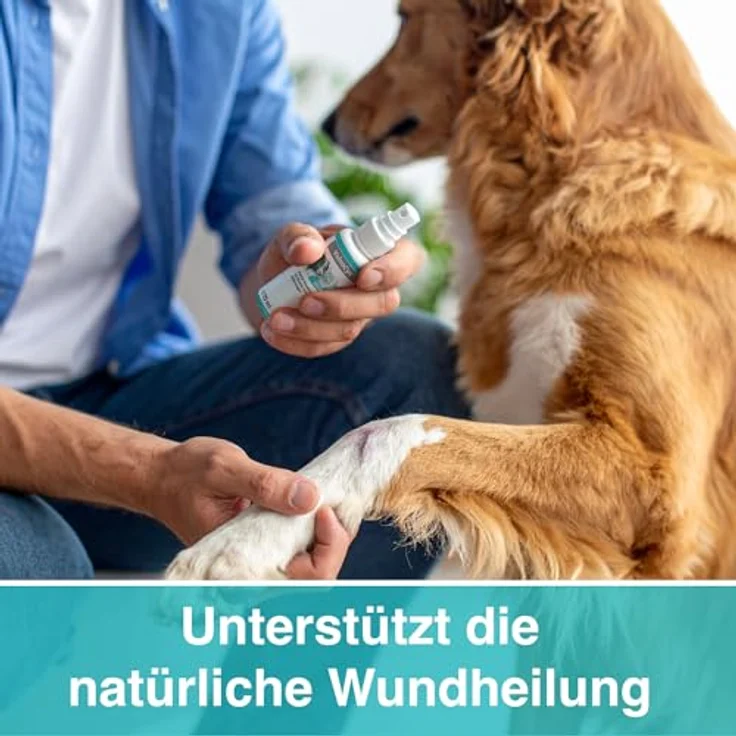 Alfavet VulnoCyn Hydrogel 75 ml, Haut- & Wundenspray für Hunde, Katzen & Kleinsäuger, pH-neutral, alkohol- und antibiotikafrei, langanhaltende Wirkung gegen Bakterien, Viren & Pilze – Bild 2