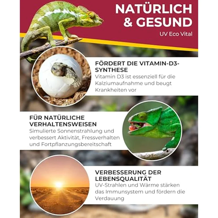 HOBBY Terraristik UV Eco vital, UV-Lampe für Terrarien, 70 W, energieeffiziente Mischlichtlampe mit UVB-Abgabe, langlebig und kosteneffizient – Bild 3