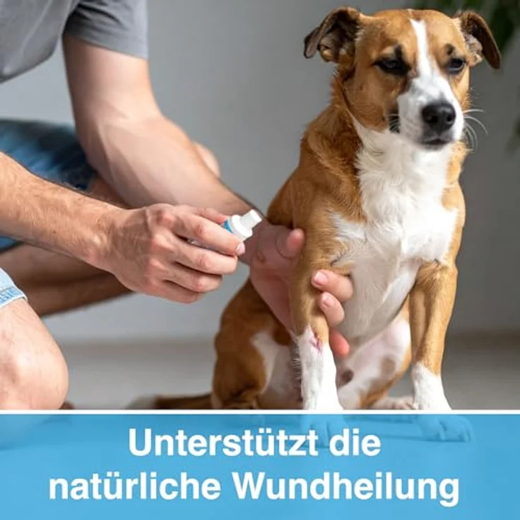 Alfavet VulnoCyn Spray 75 ml – Haut- und Wundspray für Hunde, Katzen & Kleinsäuger – antiseptisch gegen Bakterien, Viren & Pilze, alkoholfrei und pH-neutral – Bild 2