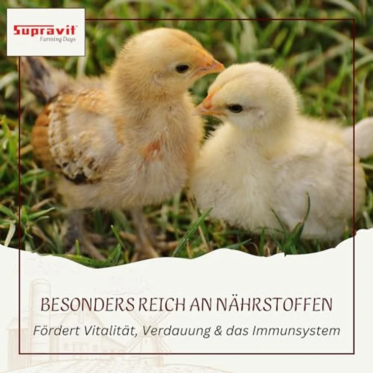 Supravit Kükengrütze 2,5 kg – Hochwertiges Ergänzungsfutter für Hühnerküken, Wachteln & Ziergeflügel | Optimal für die Aufzucht von Küken 0–6 Wochen | Made in Germany – Bild 4