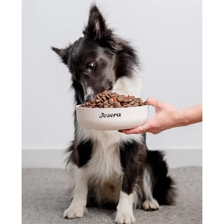 JosiDog Adult Sensitive, Hunde-Trockenfutter mit zartem Geflügel, 900g – Bild 7