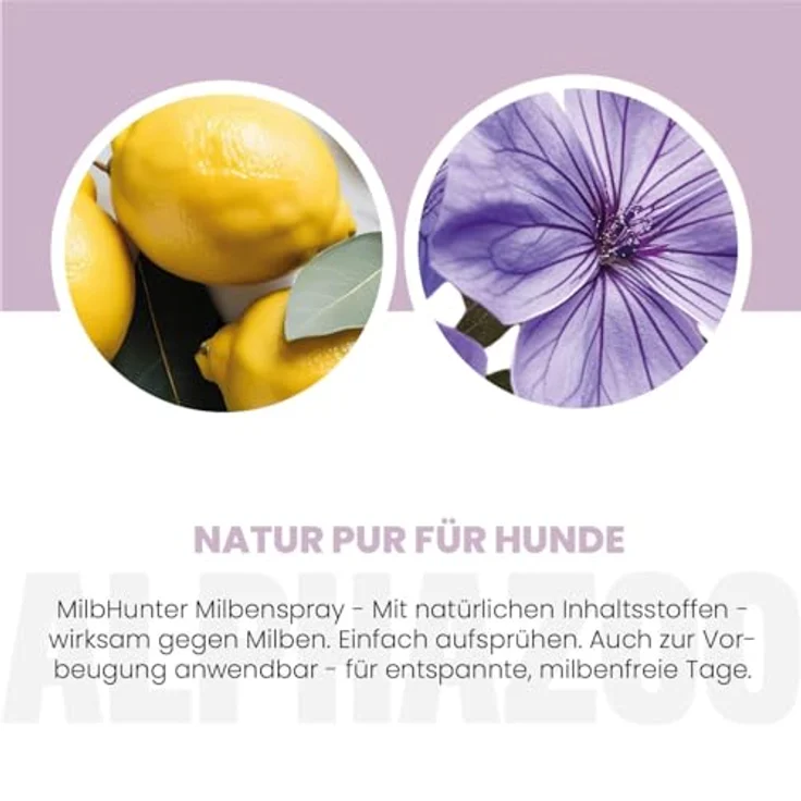 alphazoo Milbhunter Spray für Hunde 250ml, mit Zitronen-Eukalyptus & Geraniol, gegen Milbenbefall, natürliche Inhaltsstoffe, hautschonend – Bild 4