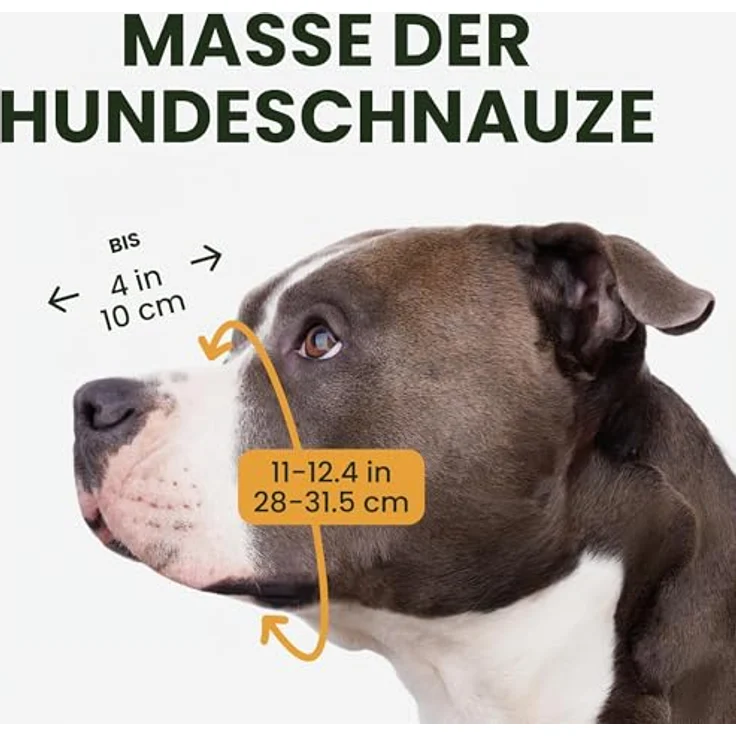 BRONZEDOG Metallmaulkorb für große Hunde – Verstellbare Lederriemen, Drahtkorb für Amstaff, Braun – Bild 2