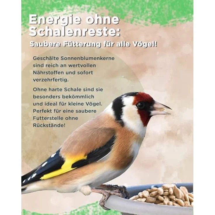 Futterbauer 10 kg Geschälte Sonnenblumenkerne für Vögel, 100% Natur, Nährstoffreiche Energiequelle, Ohne Schalen, Frisch & Hochwertig, Ernte 2025 – Bild 3