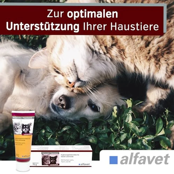Alfavet ReConvales Päppelpaste Ergänzungsfuttermittel für kleine Hunde und Katzen, hohe Energie für Untergewicht, Tube 75g – Bild 4