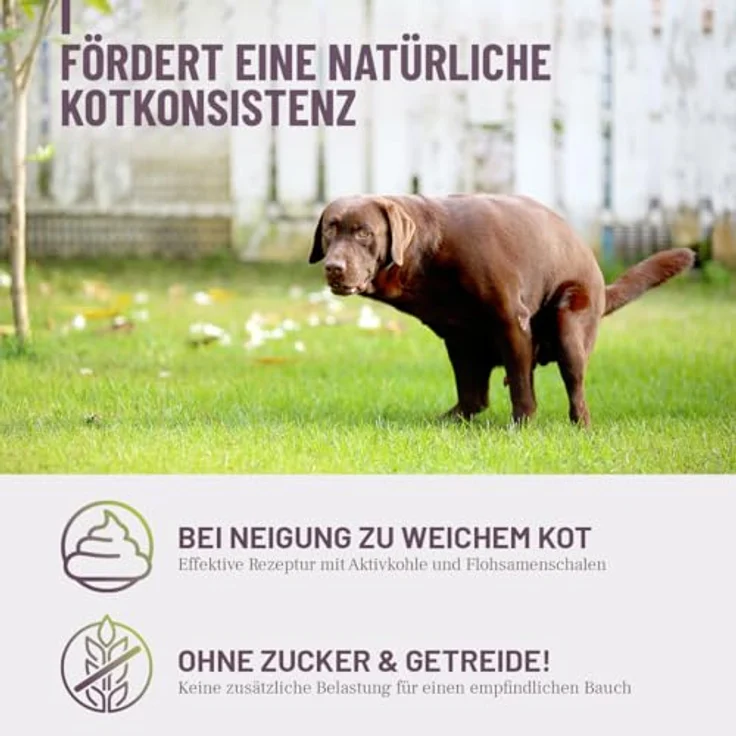 ReaVET Feste Häufchen Drops, Ergänzungsfuttermittel für Hunde zur Unterstützung der Verdauung, mit Aktivkohle, 350g (180Stk) – Bild 2