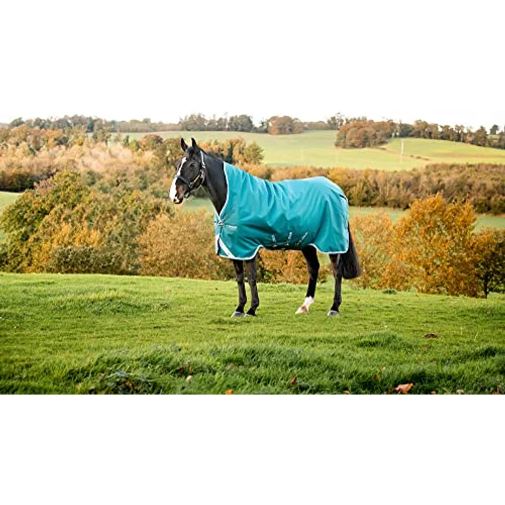 Horseware Amigo Bravo 12 Wug, wasserdichte Pferdedecke aus 1200D Polyester, 250 g Füllung, storm green, wählbare Größen (125-165 cm)