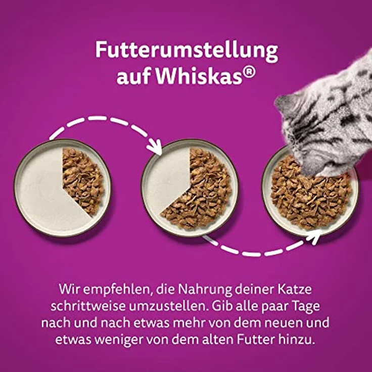 Whiskas Mega Pack 1+ Fisch Auswahl in Gelee, Katzenfutter, 40 x 85g – Bild 5