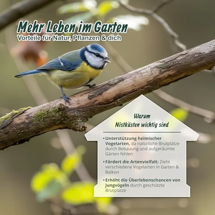 Relaxdays Nistkasten für Meisen und Spatzen, 32mm Einflugloch, Holz mit Reinigungsklappe, Vogelhaus zum Aufhängen, grau/schwarz – Bild 5