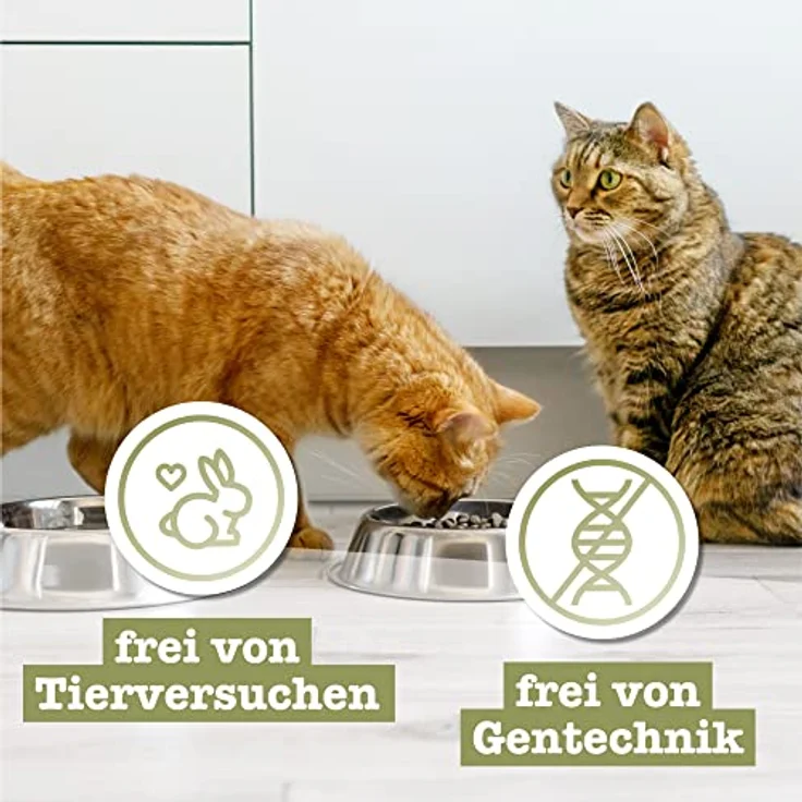 Catz Finefood Meatz N°5 Kalb, Getreidefreier Katzensnack für ausgewachsene Katzen, 45g – Bild 6