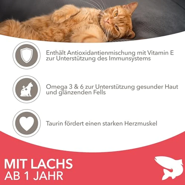 IAMS Katzenfutter trocken mit Lachs, 3 kg - Vollwertiges Trockenfutter für Katzen (1-6 Jahre), reich an tierischen Proteinen, weizenfrei, ohne künstliche Zusätze – Bild 3