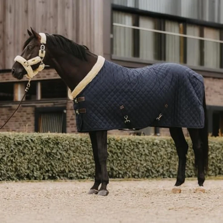 Kentucky Showdecke für Pferd, Navy, atmungsaktiv und bestickbar, 150g Füllung – Bild 2