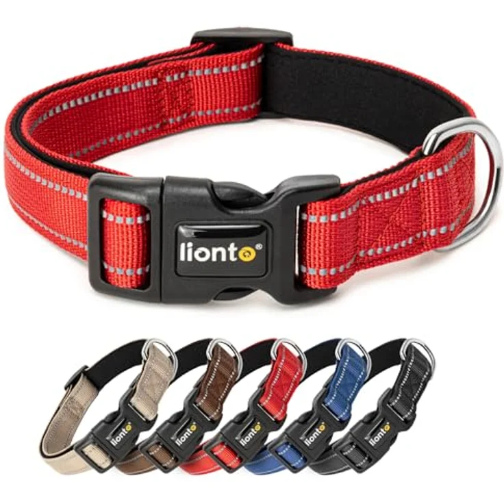 lionto Hundehalsband XS, strapazierfähiges Nylon, weiches gepolstertes Halsband, 360° reflektierend, Klickverschluss, stufenlos verstellbar, rot – Bild 1