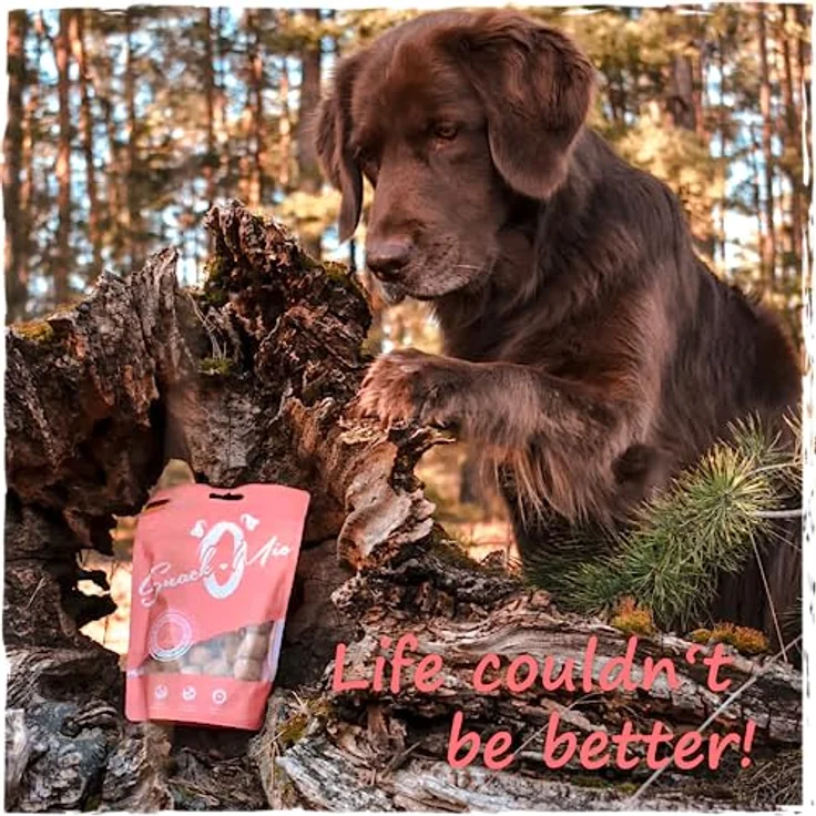 SnackOMio Premium Hundesnack, knusprige Schweineohren, getreidefrei, luftgetrocknet, 500 g – Bild 3