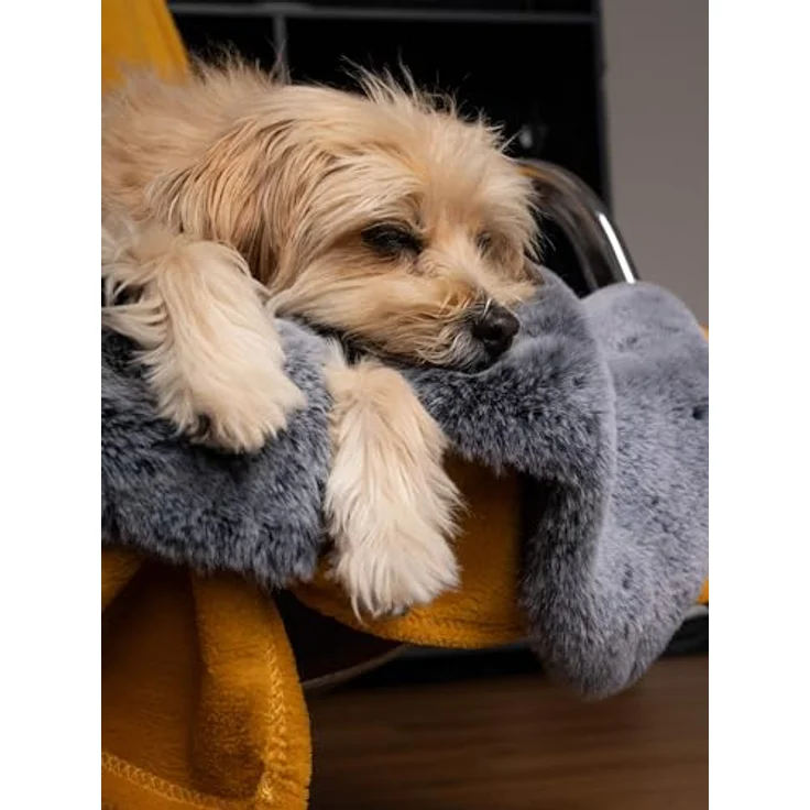 TrendPet Yuma Premium Kuscheldecke für Hunde und Katzen, Weich & Waschbar, Oeko-TEX Zertifiziert, Größe XXL 220x150cm oder Standard 75x55cm – Bild 5