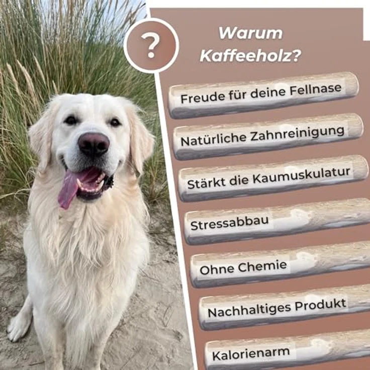ZOYS Kaffeeholz für Hunde, Natürlicher Kauknochen für Zahnreinigung & Zahngesundheit, Größe S, langlebig & risikoarm – Bild 4