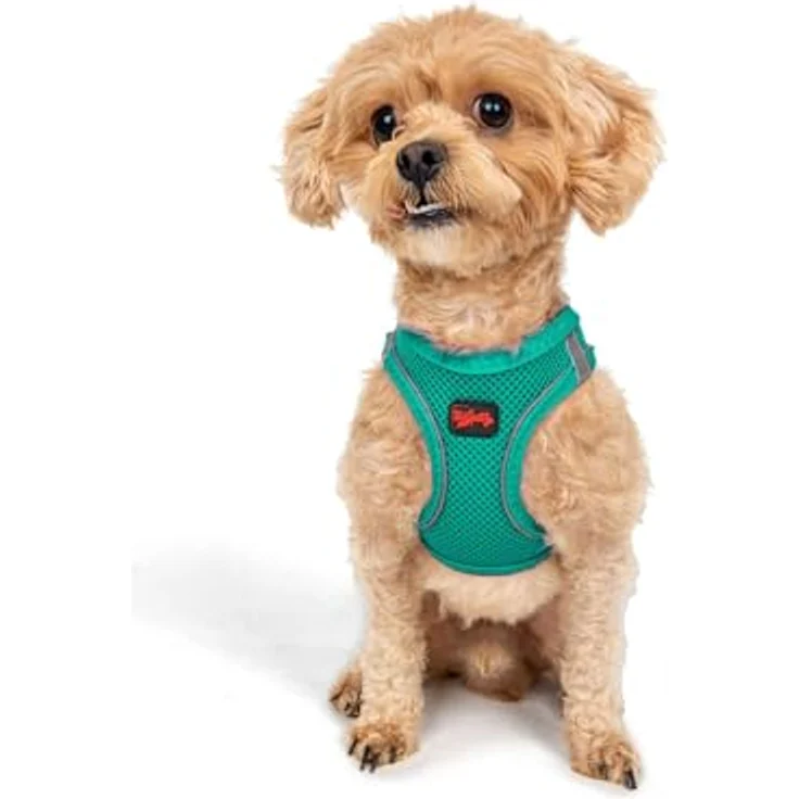 Tailpetz Airmesh-Geschirr, leichtes und atmungsaktives No-Pull Hundegeschirr, Smaragd, 2XS – Bild 1