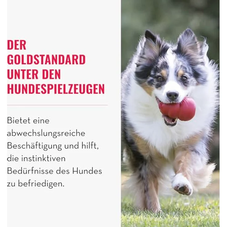 KONG Classic, Füllbares Hundespielzeug aus strapazierfähigem Naturkautschuk, für extra-große Hunde, ideal zum Befüllen mit Leckerlis und apportsicher – Bild 3