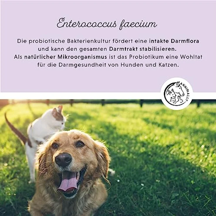 Annimally Hunde & Katzen Darmkur Pulver 250g, Synbiotikum zur Darmsanierung mit Probiotika und Präbiotika, ideal bei Durchfall und nach Wurmkur – Bild 5