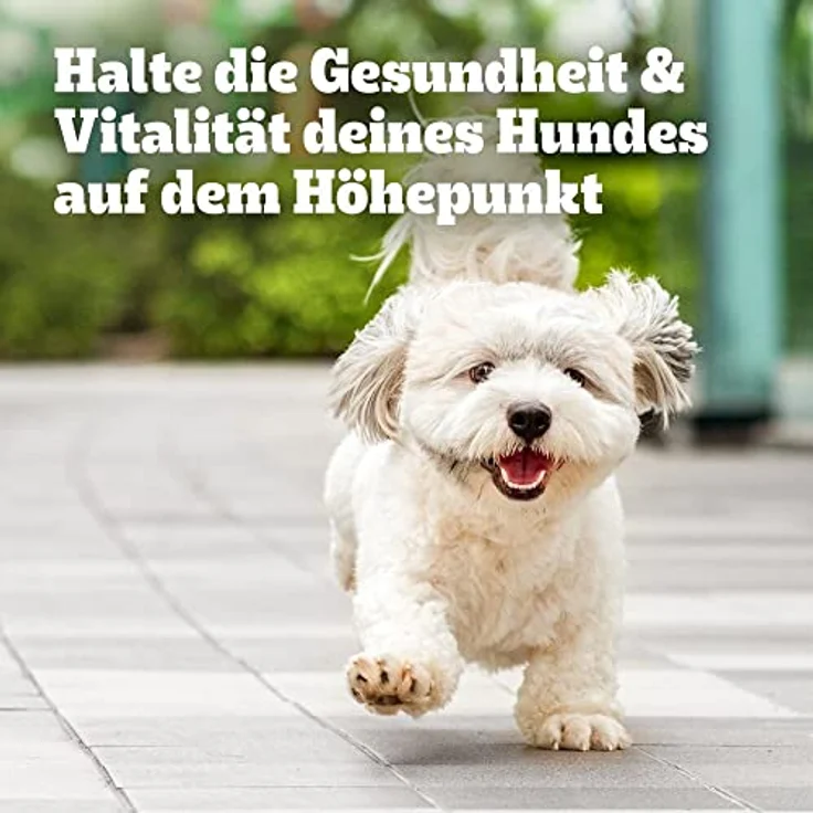Pedigree Multivitamins Verdauung, Hundefutter mit wichtigen Nährstoffen, 180g – Bild 13