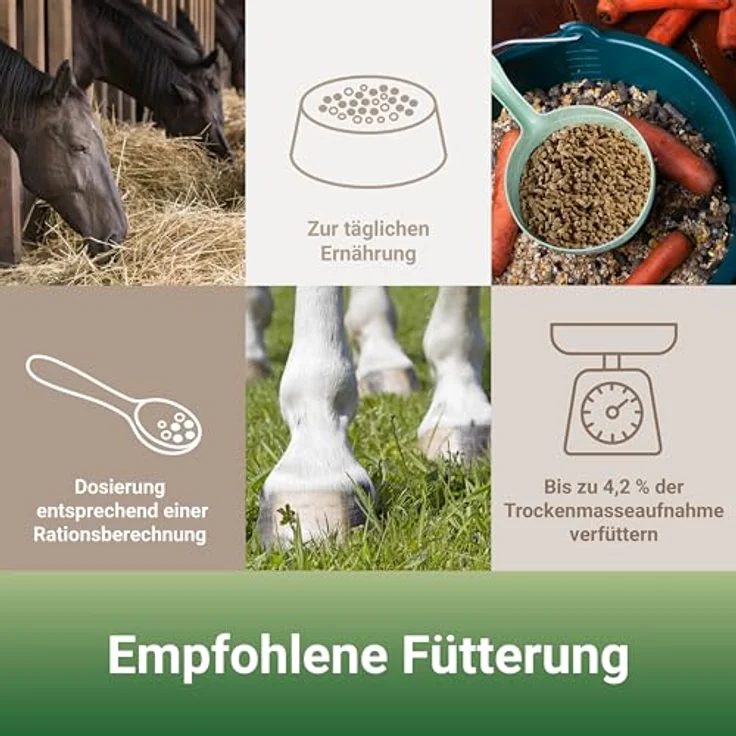 PANTO Pferdemineral mit Wisan-Lein, 25 kg – schmackhaftes Mineralfutter für Pferde, reich an Mineralien, Vitaminen, Spurenelementen und Omega-3-Fettsäuren – Bild 4