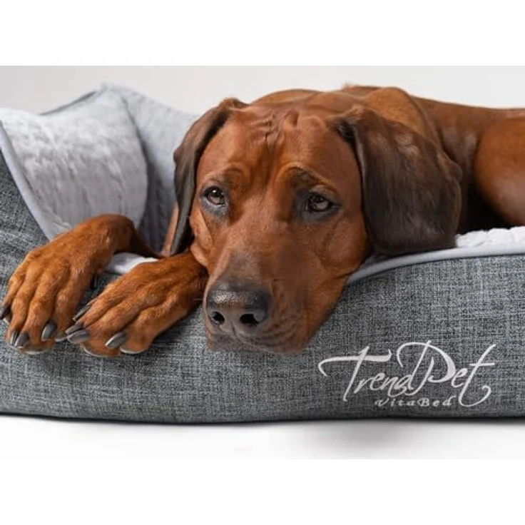 TrendPet VitaBed, Orthopädisches Hundebett mit 5cm Memofoam, abnehmbarer waschbarer Bezug, 120x100cm – Bild 4