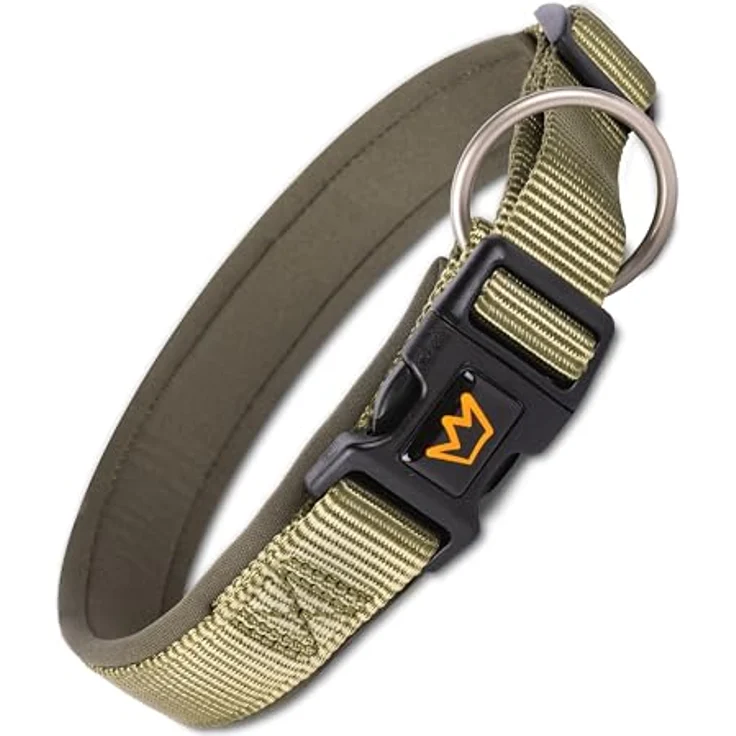 Rudelkönig Hundehalsband Bella, Verstellbares Nylon-Halsband für kleine Hunde und Welpen, Komfort-Neopren, Khaki – Bild 1