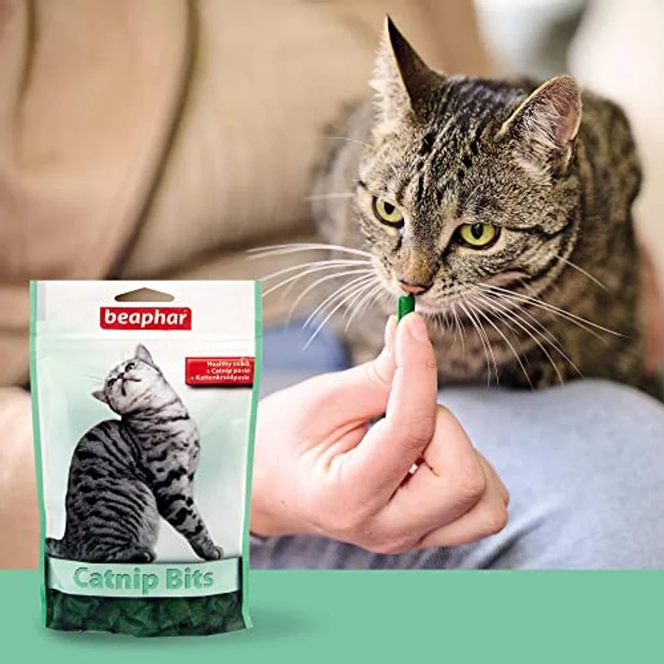 BEAPHAR Cat Nip Bits, Katzenminze und Malz Snacks, unterstützt Gesundheit und Zahnpflege, 150 g – Bild 4