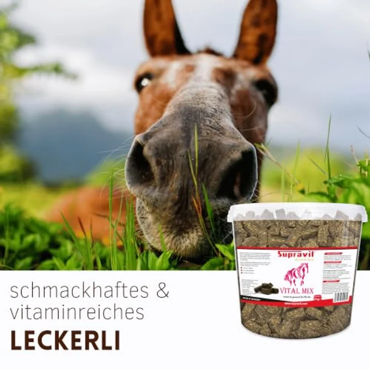 Supravit Vitalmix Pferdeleckerli, 3kg Eimer mit fermentierten Getreideflocken, Karotte, Banane & Ingwer, mit Vitamin E & B-Vitaminen – Bild 4