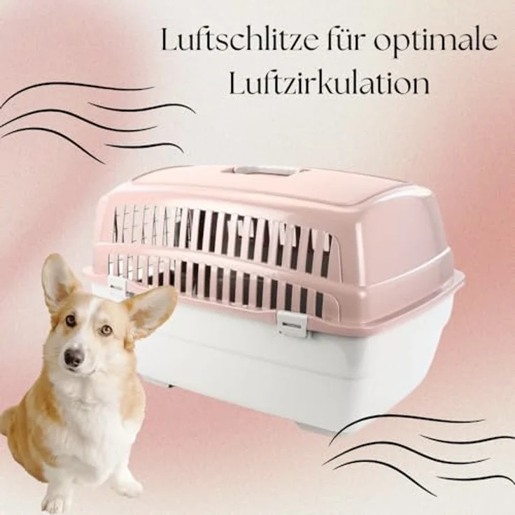 GarPet 2er Set IATA-konforme Transportboxen Gr. L, robuste Flugbox für Hunde und Katzen mit Reisenapf – Bild 4