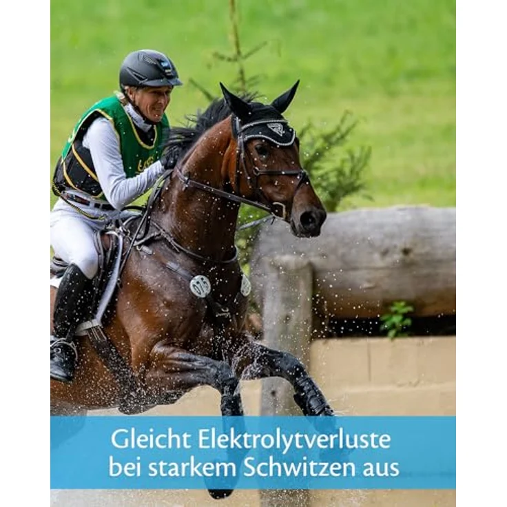 EQUISTRO® Energy Booster, Ergänzungsfuttermittel für Pferde mit hochkonzentrierten Nährstoffen für Ausdauer und Leistungsfähigkeit, ADMR-konform, 20g – Bild 4