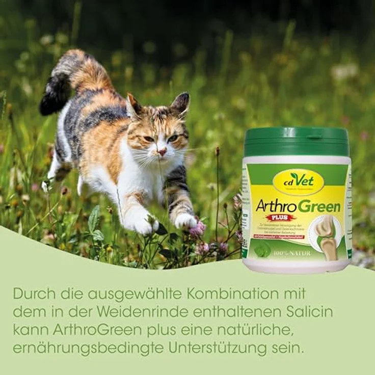 cdVet ArthroGreen plus, Ergänzungsfuttermittel für gelenkempfindliche Hunde und Katzen mit neuseeländischer Grünlippmuschel und Hagebutte, 75 g – Bild 7