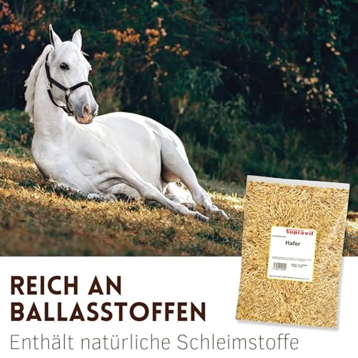 Supravit Hafer ganz 5kg, ungeschält und staubfrei, frischer gelber Futterhafer für Pferd und Pony, natürlicher Energielieferant – Bild 5