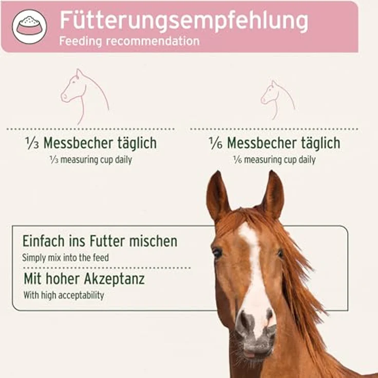 AniForte 4in1 Complete für Pferde 3kg - Natürliche Rundumversorgung mit Bierhefe BT, Hagebutte, Kieselgur, Präbiotika Topinambur, Vitamine & Mineralstoffe – Bild 5