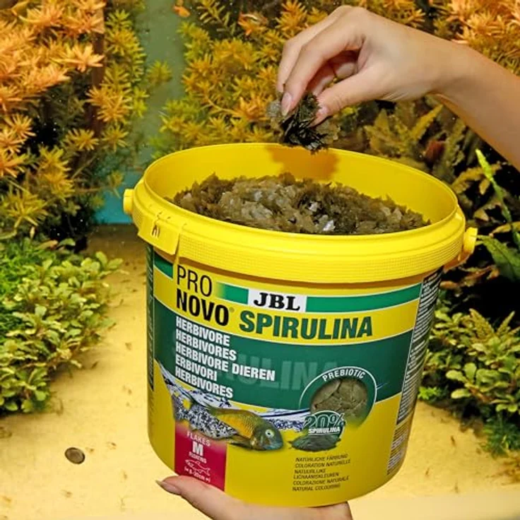 JBL PRONOVO SPIRULINA FLAKES, Grünfutter für Aquarienfische 8-20 cm, präbiotisch, 5500 ml – Bild 5