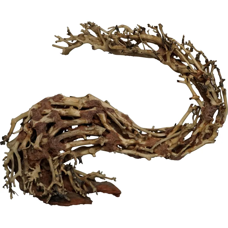 4fish Traerødder, Dragonhead, 40x15x30 cm, hochwertige Aquarium Dekoration