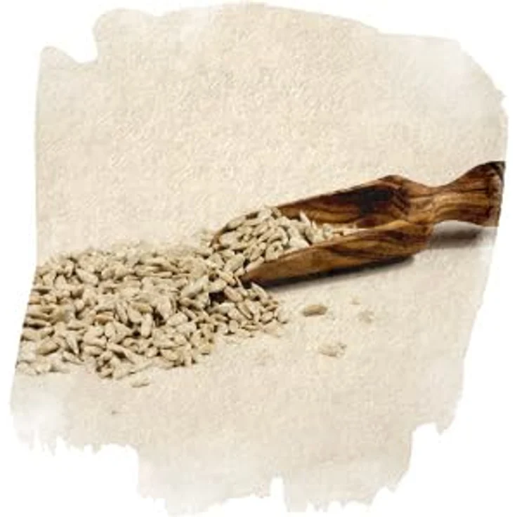 Vogelfood Sonnenblumenkerne geschält, 10 kg Nahrungsquelle für Wildvögel, reich an Fetten und Proteinen – Bild 5
