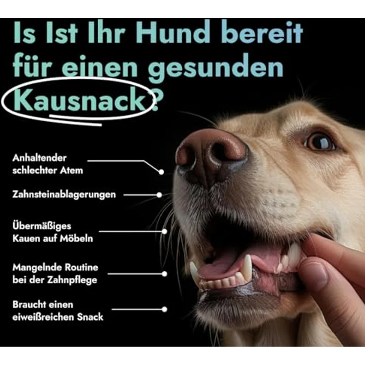 Petstile Himalaya-Käseknochen für Hunde, 100% Bio-Milch, Natürlicher Kaukäse für Welpen & kleine Hunde, Zahnpflege, geruchs- und schmutzfrei, 450g – Bild 5