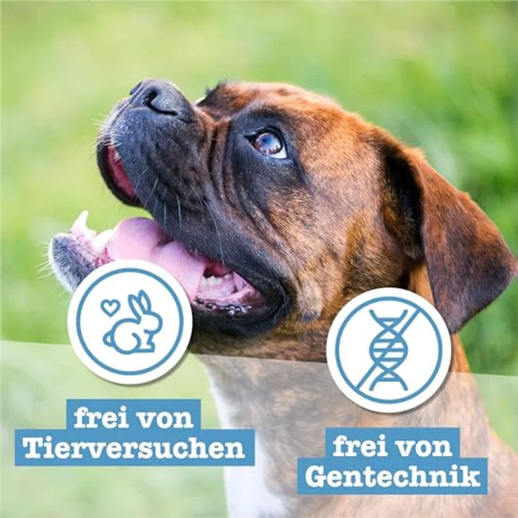 Chewies Goodies Sparpaket, 4 x 200 g Hundesnacks mit Seelachs, halb-feucht, hohe Akzeptanz – Bild 8