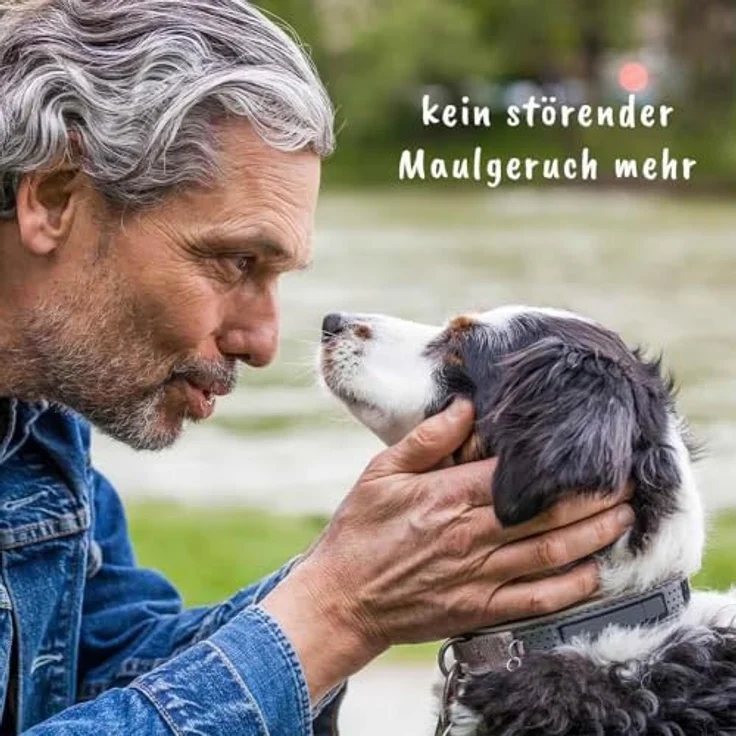 cdVet dentaVet Atemfrisch, Hundefutter-Pulver mit Chlorophyll zur Geruchsbindung, 100 g – Bild 7