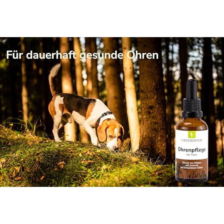GREENDOOR Ohrenpflege für Hunde mit kolloidalem Silber, 50 ml, natürliche Formel mit Urea, Borretschöl und Salbeiöl, Glasflasche mit Pipette, sanfte Pflege und Akutanwendung – Bild 2