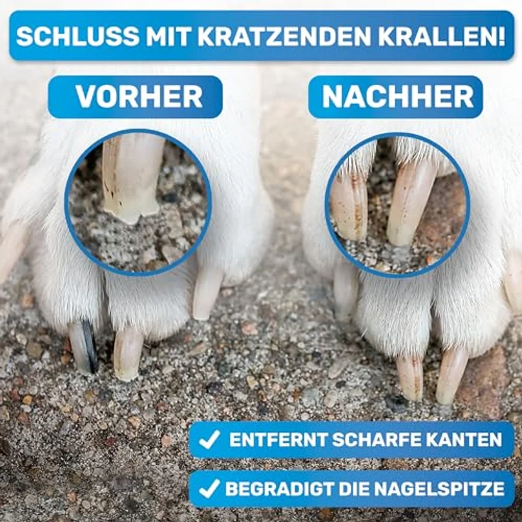 BluePet Krallenfeile für Hunde und Katzen, professionelle Nagelfeile aus rostfreiem Stahl, grob & fein, ergänzende Krallenpflege für alle Haustiere – Bild 2